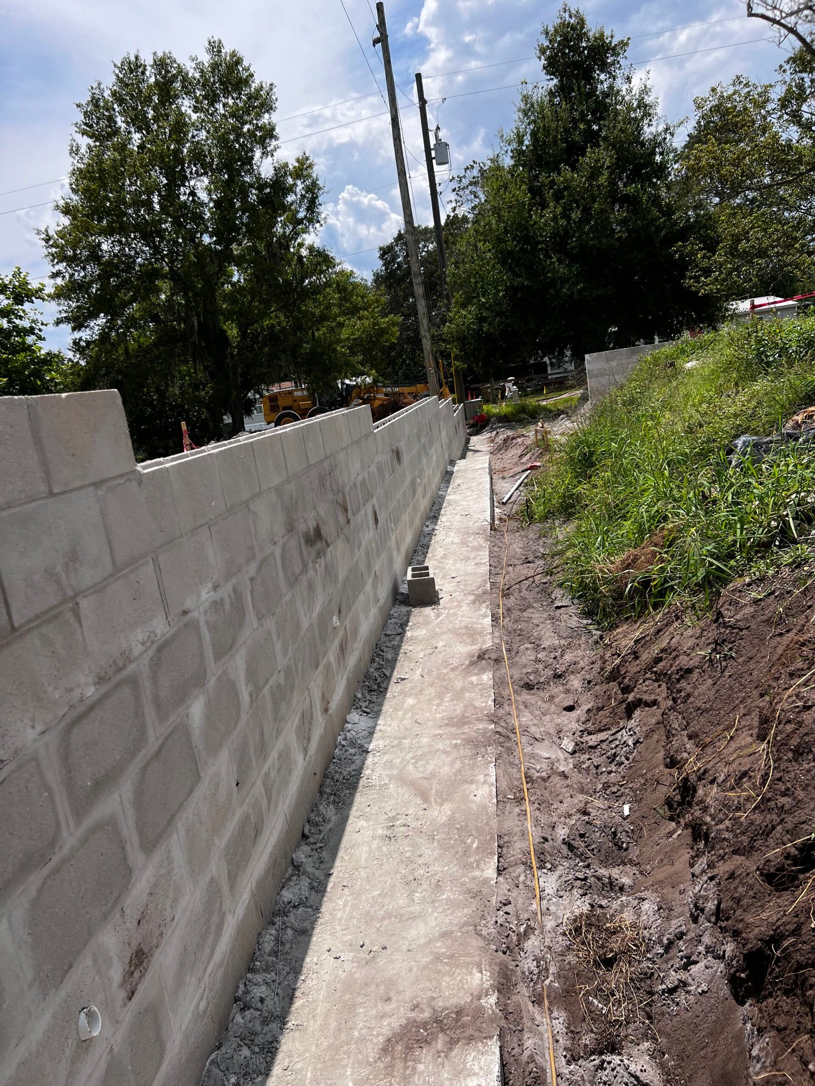 Building Brains Academy