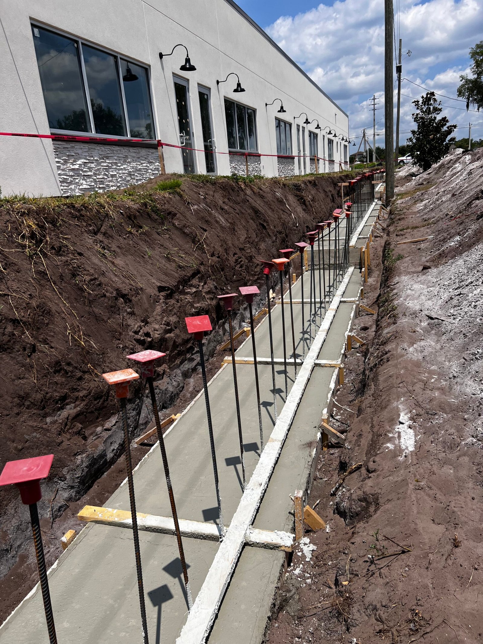 Building Brains Academy